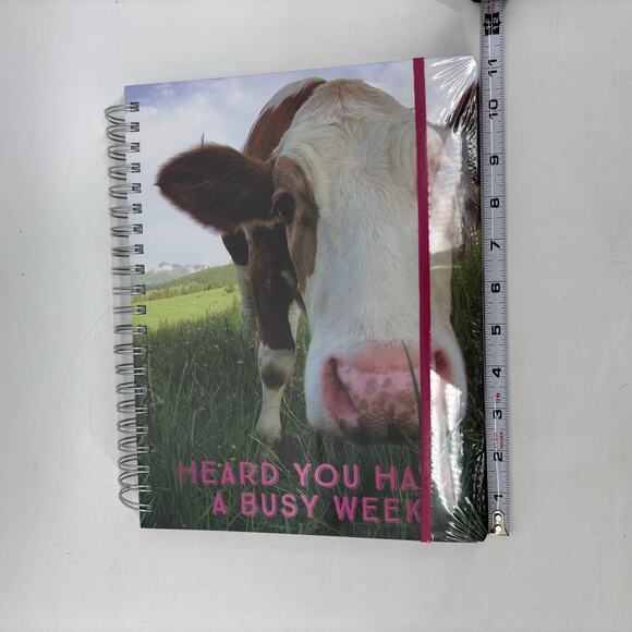 Bella Bug Notebooks Lot of 2 Spiral Journals Tabs Cow Farm Sunset - Picture 2 of 10